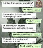 _ (8).jpeg