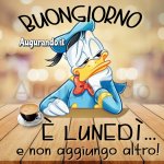immagine_08-21-06.32.02.jpg