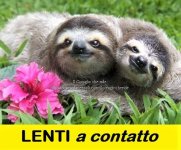 FB_IMG_1668405123433.jpg