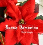 b-domenica-natale.jpg