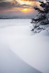 1471310_421940724598455_83038099_n.jpg