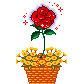 cff5d9a8.gif