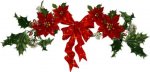 16 STELLA DI NATALE.jpg