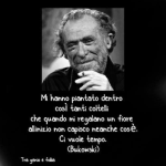 1668532091495.png