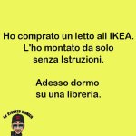 FB_IMG_1668536544645.jpg