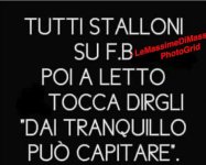 FB_IMG_1668523260785.jpg