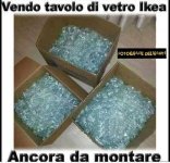 FB_IMG_1668502083640.jpg