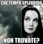 FB_IMG_1668595592034.jpg