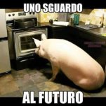 FB_IMG_1668595521432.jpg