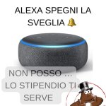 FB_IMG_1668701763631.jpg