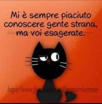 FB_IMG_1668775051173.jpg