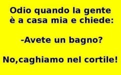 FB_IMG_1668774971928.jpg