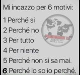 FB_IMG_1668763029575.jpg