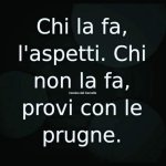 FB_IMG_1668867948091.jpg