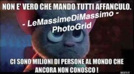 FB_IMG_1668867899288.jpg