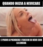 FB_IMG_1668849473474.jpg