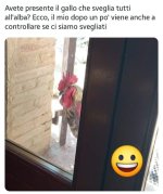 FB_IMG_1669045081496.jpg