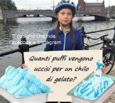 FB_IMG_1669027476916.jpg