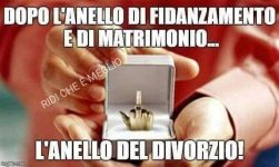 FB_IMG_1669027324727.jpg