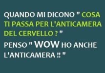 FB_IMG_1669136008637.jpg