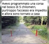 FB_IMG_1669127278651.jpg