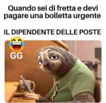 FB_IMG_1669215722586.jpg