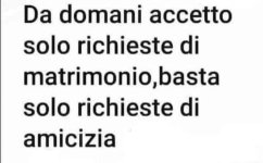 FB_IMG_1669215674195.jpg