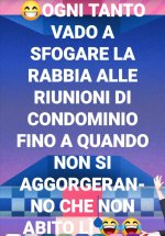 FB_IMG_1669182379454.jpg
