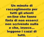 FB_IMG_1669375244503.jpg