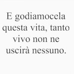FB_IMG_1669411656636.jpg
