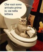 FB_IMG_1669465319522.jpg