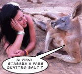 FB_IMG_1669492913437.jpg