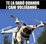 FB_IMG_1669654478022.jpg