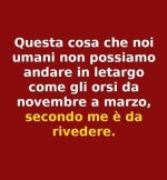 FB_IMG_1669635497920.jpg