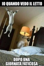 Io quando vedo il letto.jpeg
