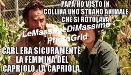 FB_IMG_1669742469301.jpg