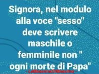 FB_IMG_1669742200743.jpg