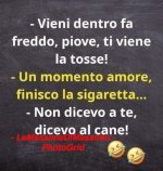 FB_IMG_1669742005148.jpg
