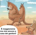 FB_IMG_1669741608598.jpg