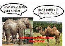 FB_IMG_1669734212783.jpg