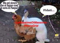 FB_IMG_1669734037010.jpg
