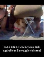 FB_IMG_1669731211641.jpg