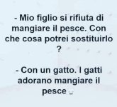 FB_IMG_1669812830677.jpg