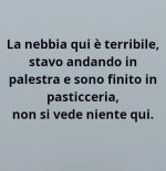 FB_IMG_1669811126388.jpg