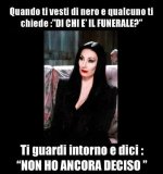 FB_IMG_1669790717463.jpg