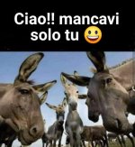 FB_IMG_1669881330857.jpg