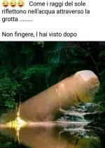 FB_IMG_1669877045233.jpg