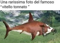 FB_IMG_1669984325120.jpg