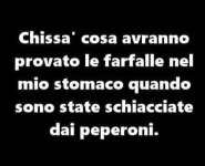 FB_IMG_1670073894267.jpg