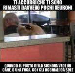 FB_IMG_1670260661123.jpg